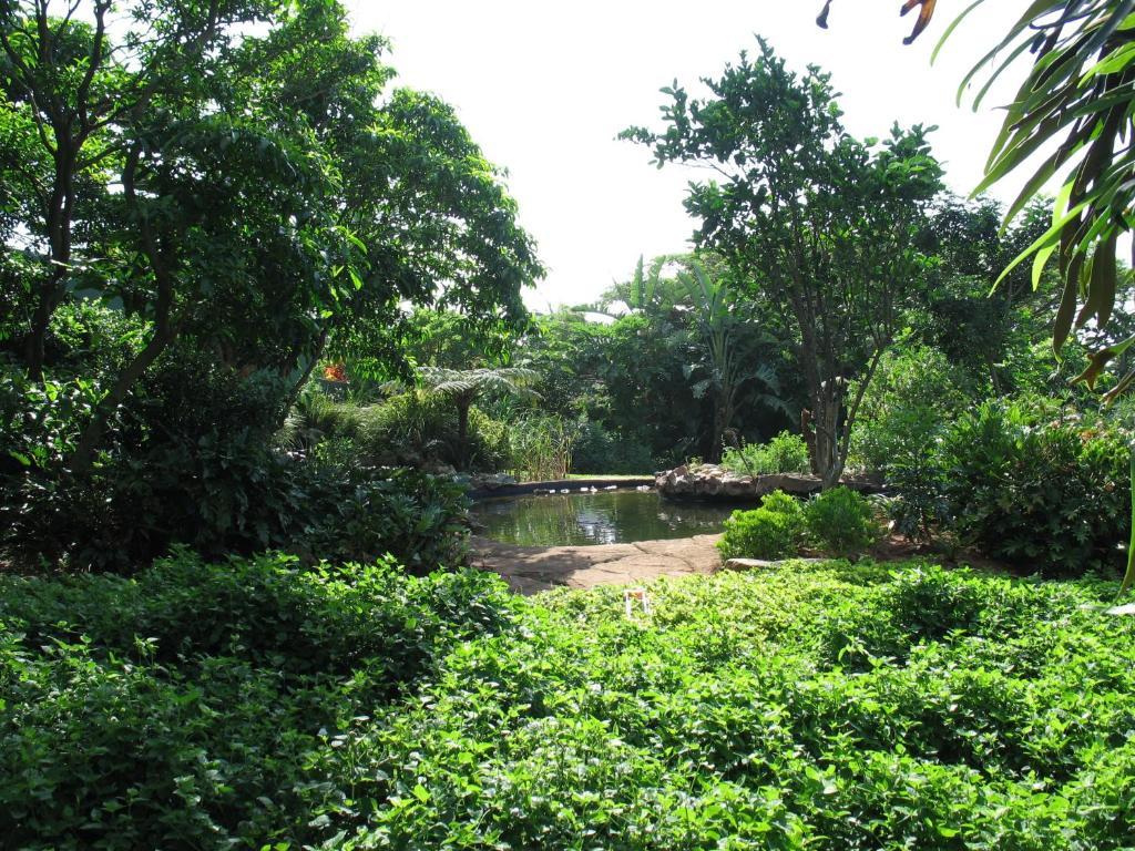 Comfort House Bed & Breakfast Ballito Esterno foto